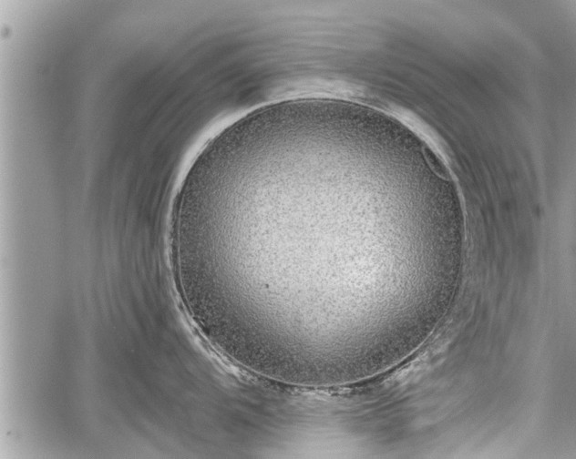 X0000060241104200510311515