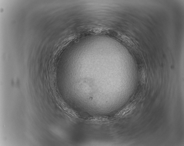 X0000060241105200510311514