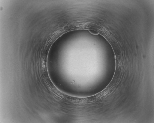 X0000060241106200510311514