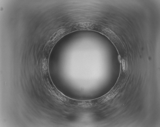 X0000060241107200510311514