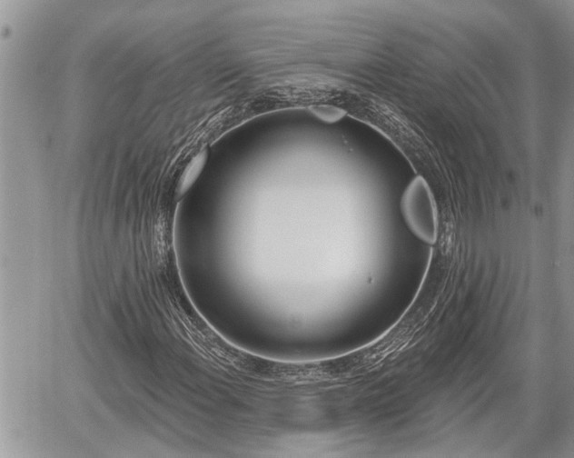 X0000060241108200510311515