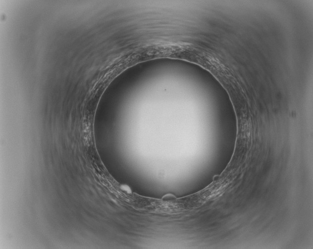 X0000060241109200510311515