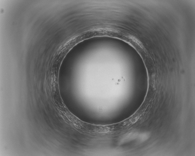 X0000060241111200510311515