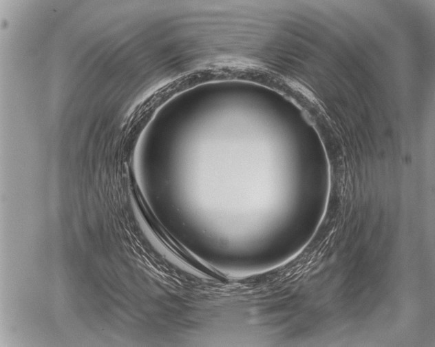 X0000060241112200510311515