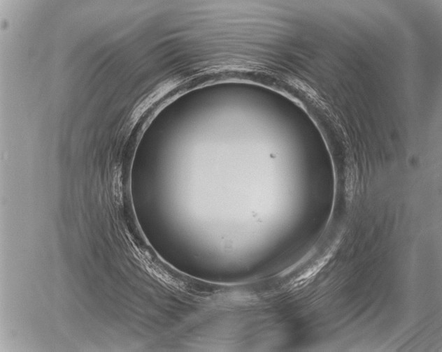 X0000060241113200510311515