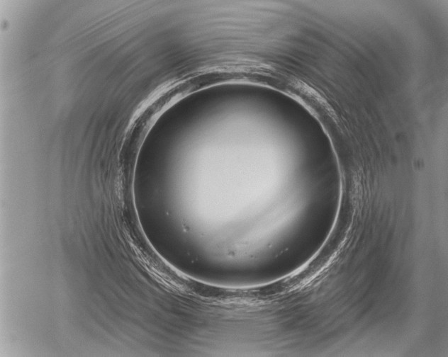 X0000060241114200510311515