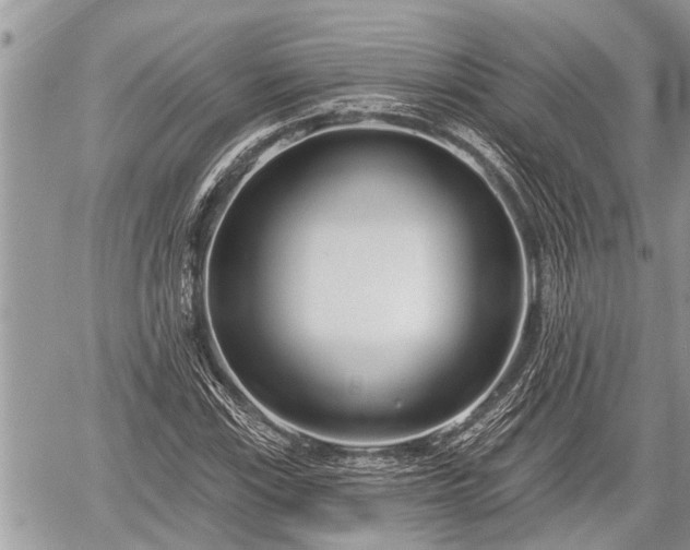 X0000060241115200510311515