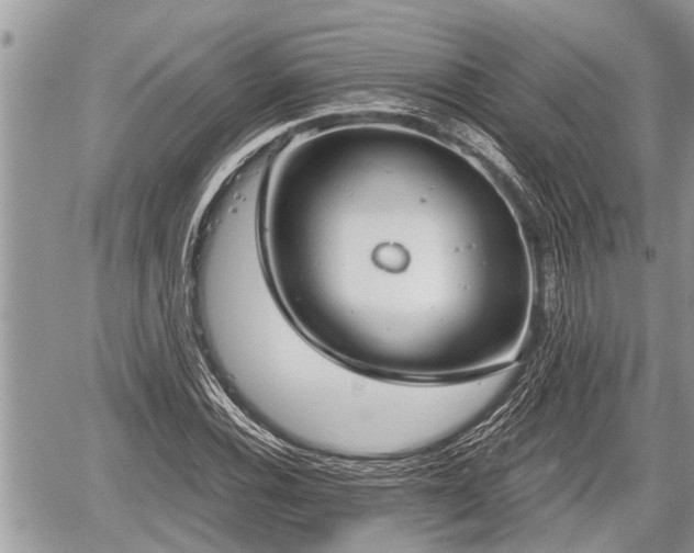 X0000060241116200510311515