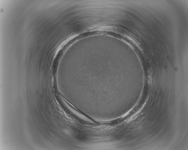 X0000060241117200510311515