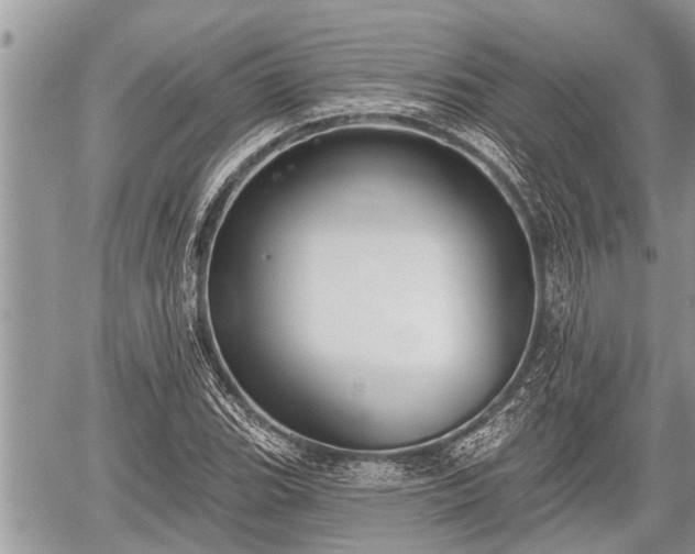 X0000060241119200510311515