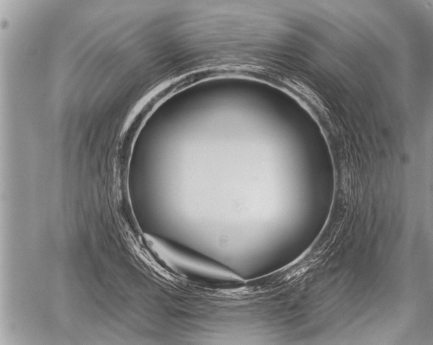 X0000060241120200510311515