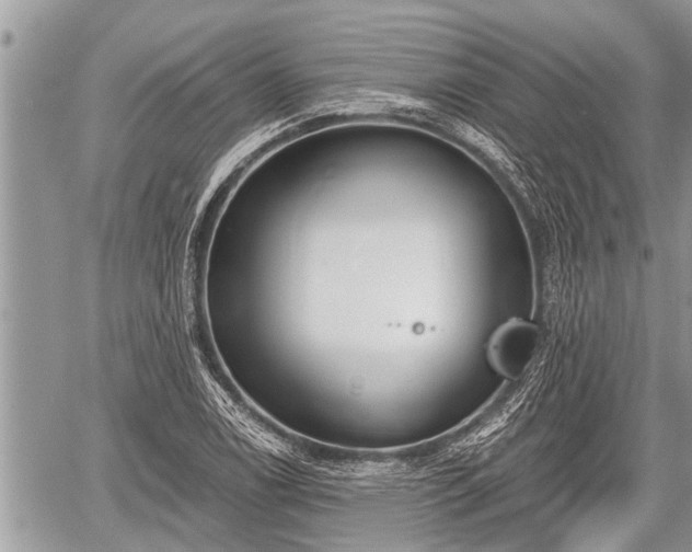 X0000060241122200510311515