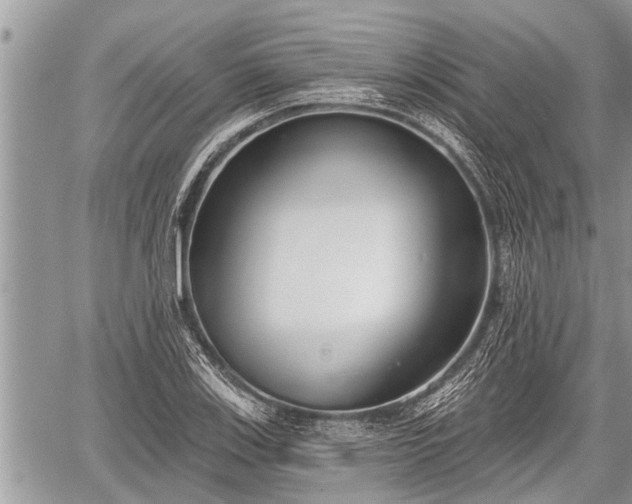 X0000060241123200510311515