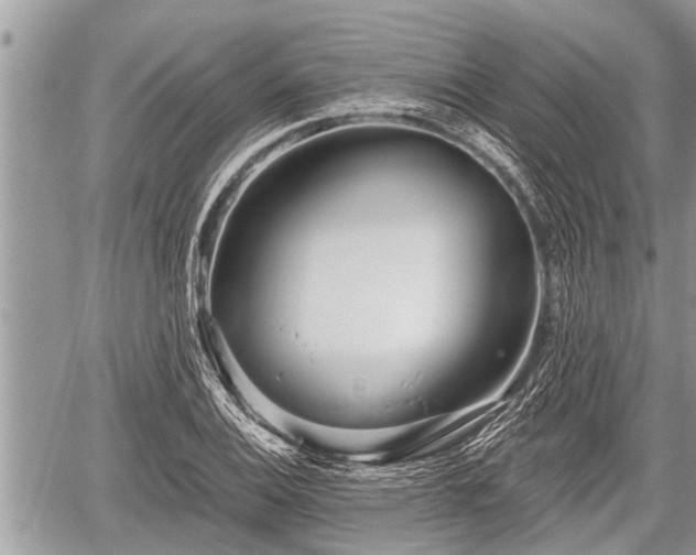 X0000060241124200510311515