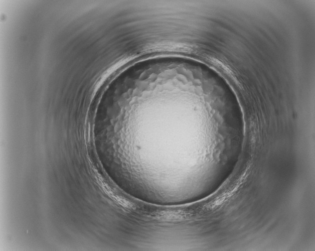 X0000060241125200510311515