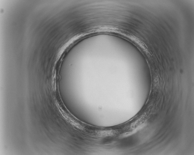 X0000060241126200510311515