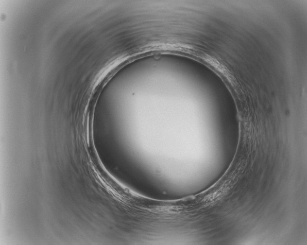 X0000060241127200510311515