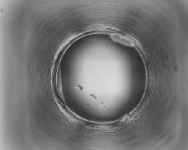 X0000060241128200510311515