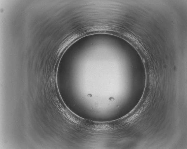 X0000060241129200510311515