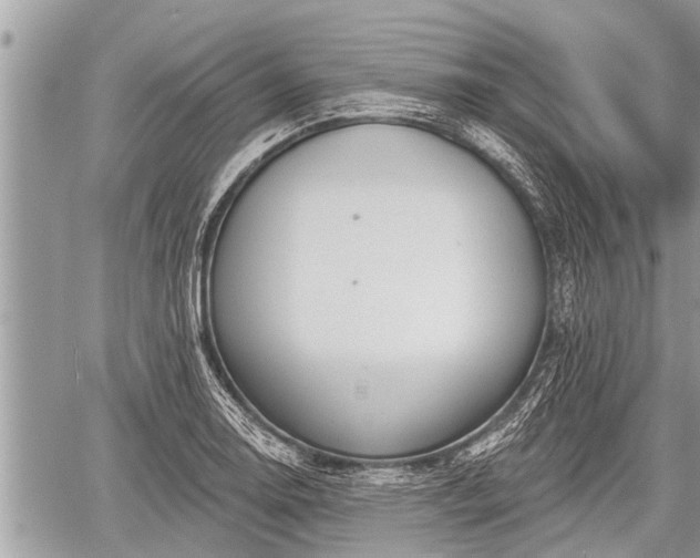 X0000060241130200510311515