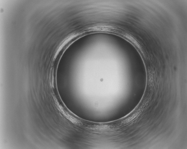 X0000060241131200510311515