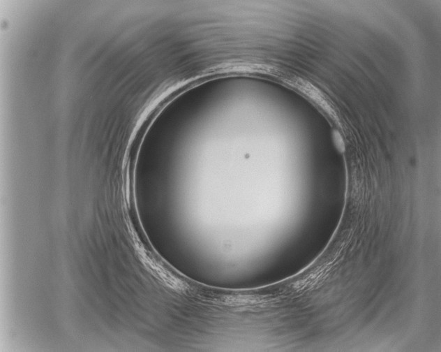 X0000060241132200510311515