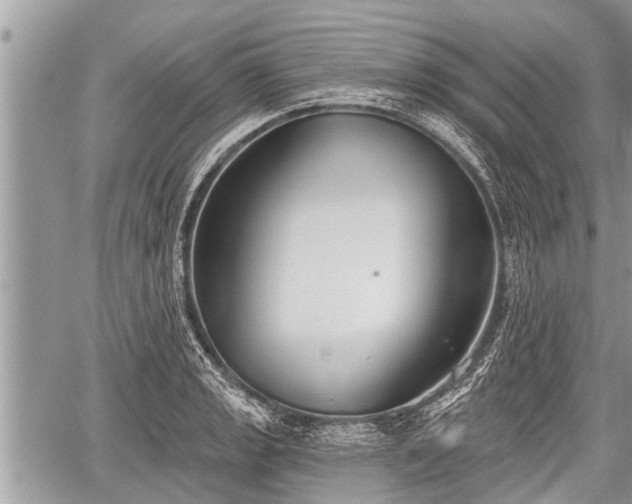 X0000060241133200510311515