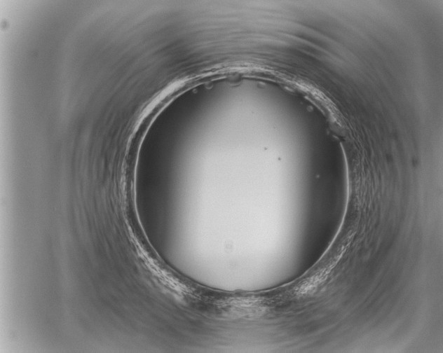 X0000060241134200510311515