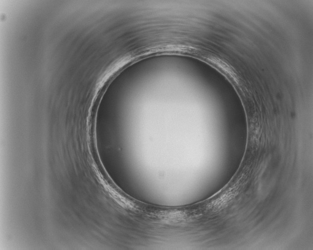 X0000060241135200510311515