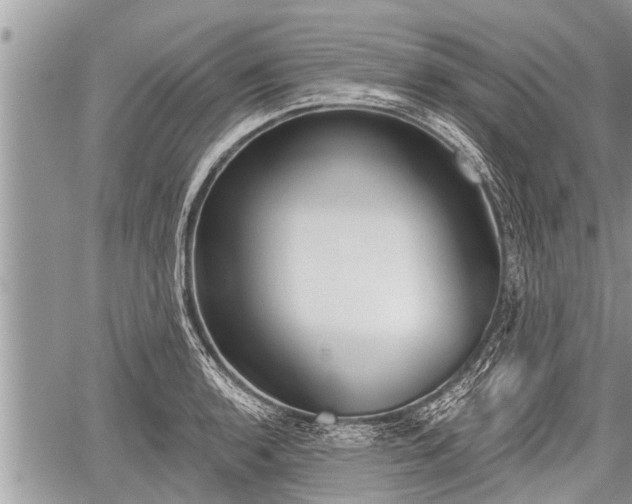 X0000060241136200510311515