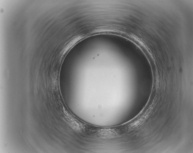 X0000060241137200510311515