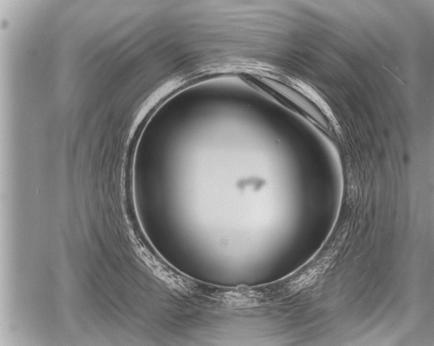 X0000060241138200510311515