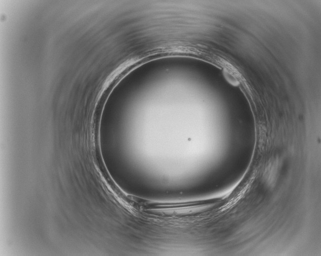 X0000060241141200510311515