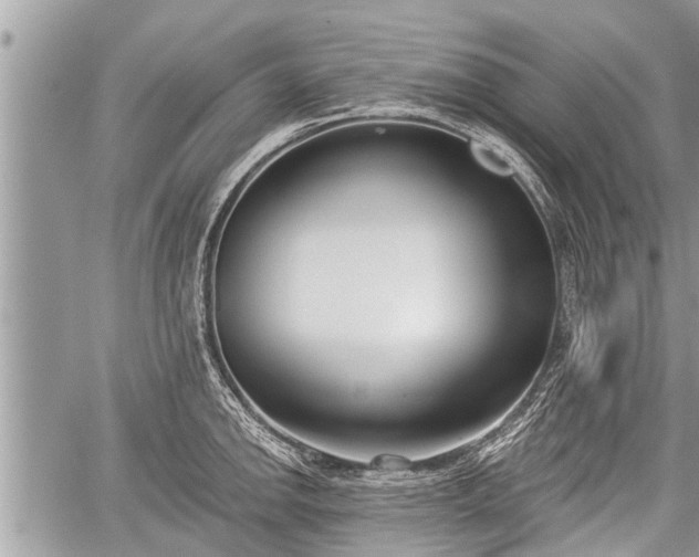 X0000060241142200510311515