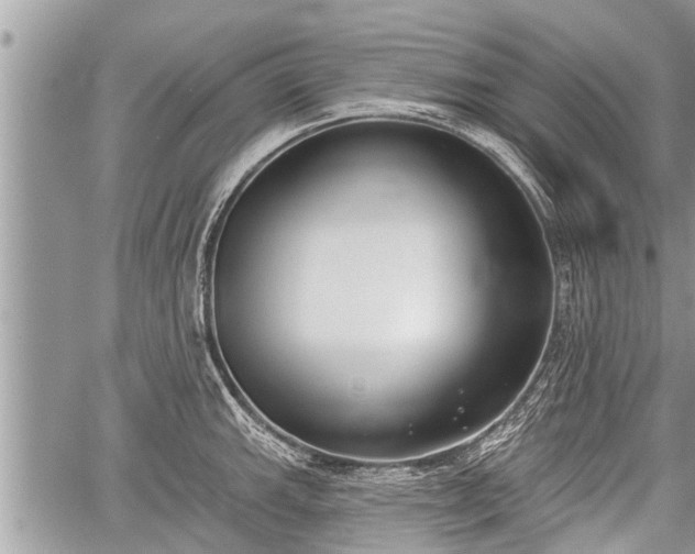 X0000060241143200510311515