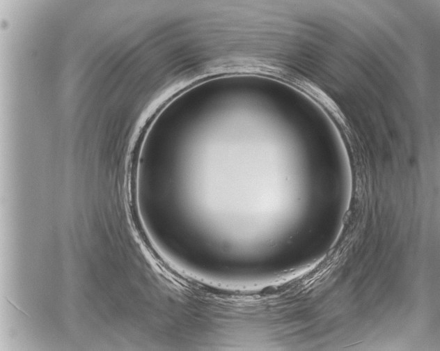 X0000060241144200510311515