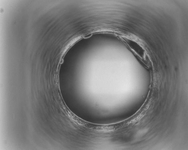 X0000060241145200510311515