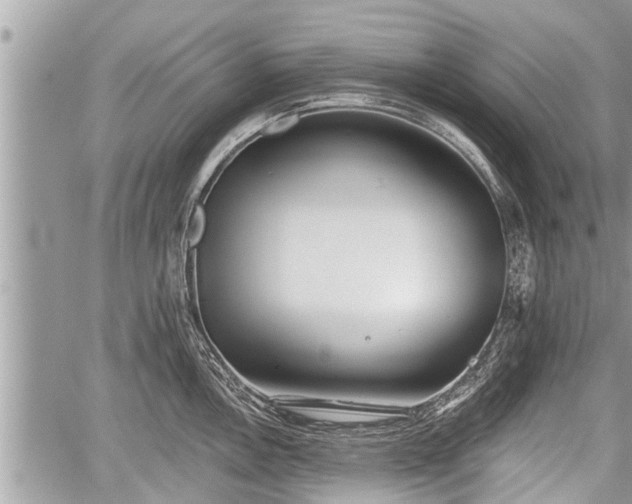 X0000060241146200510311515