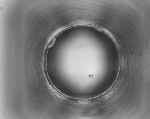 X0000060241147200510311515