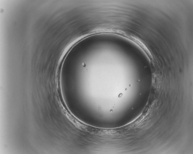 X0000060241148200510311515