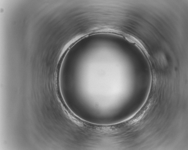 X0000060241149200510311515