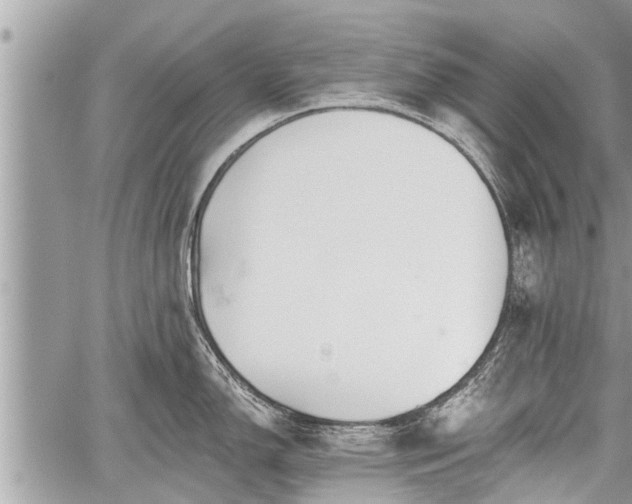 X0000060241150200510311515