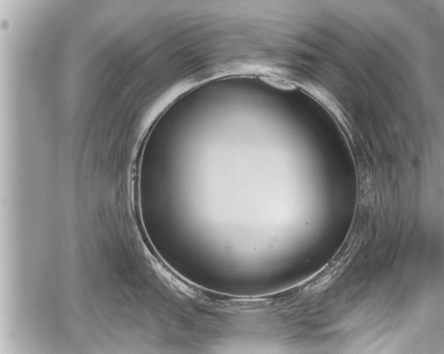 X0000060241151200510311515