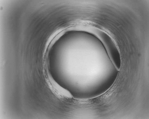 X0000060241152200510311515