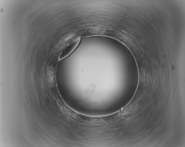 X0000060241154200510311514