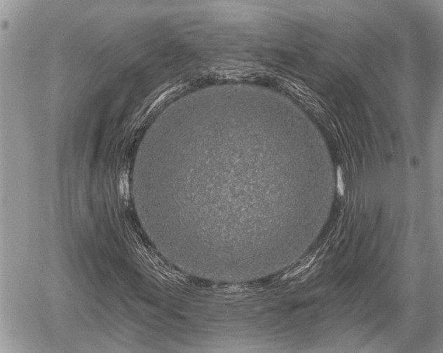 X0000060241155200510311514