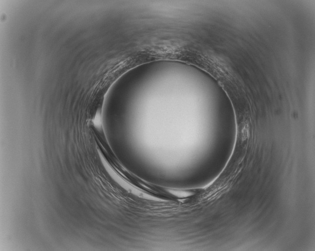 X0000060241156200510311514