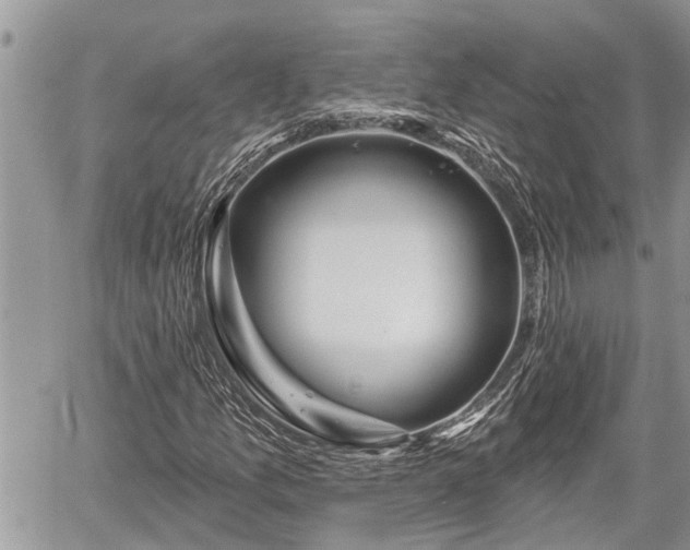 X0000060241157200510311514