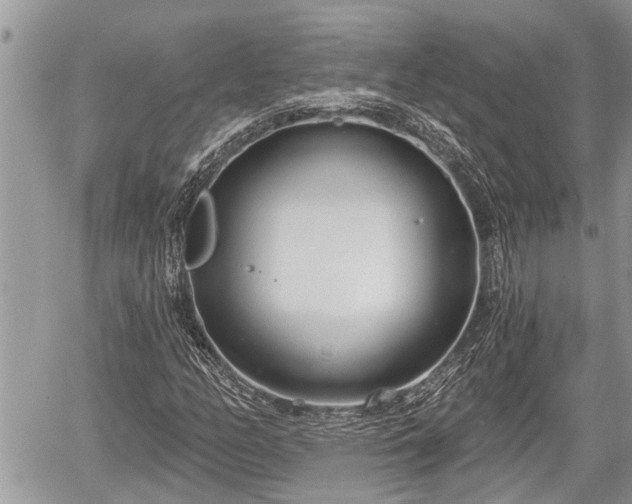 X0000060241158200510311514