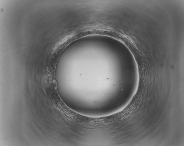 X0000060241159200510311514